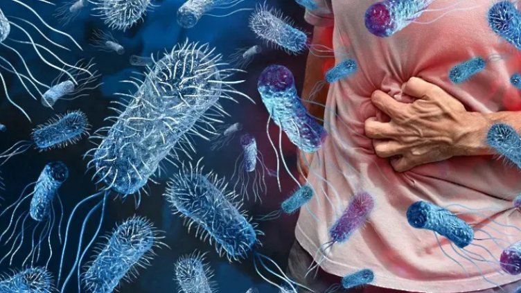 Регистрираха случай на холера в България