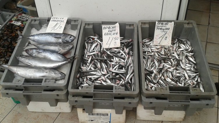 Мидите окупират Рибната борса