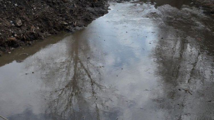 Откриха още един труп в езерото край Долни Пасарел