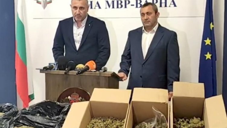 Откриха нов вид дрога във Варна (СНИМКИ)