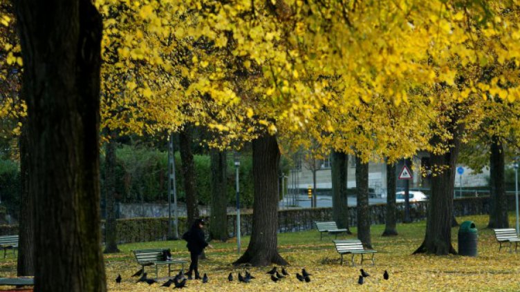 Слънчева есен, градусите днес ще стигнат до 26