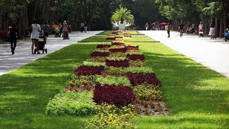 Още 22-ма полицаи ще спират колите в Морската градина