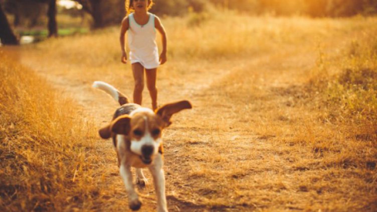 Снимка Guliver / iStock