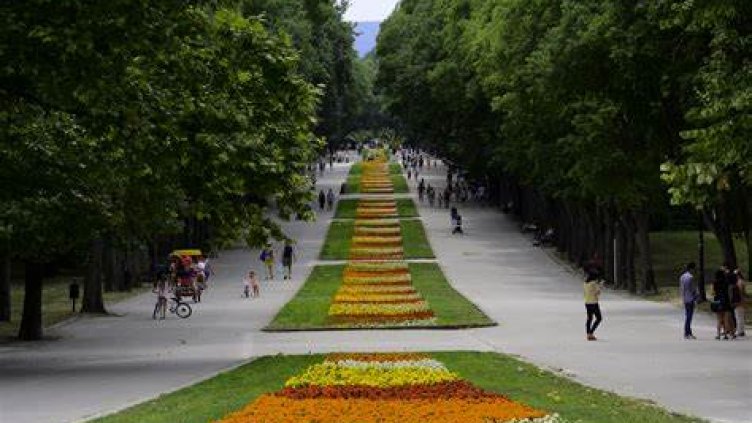 Статистиката: Във Варненско раждаемостта спада, смъртността се увеличава