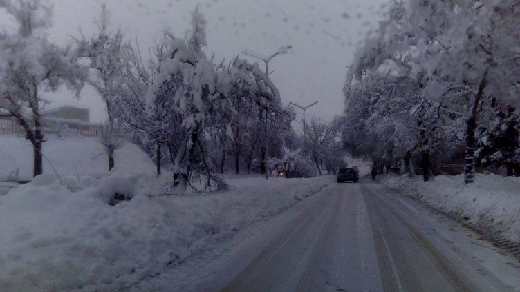 В Търговище вече натрупа над 20 см. сняг (СНИМКИ)