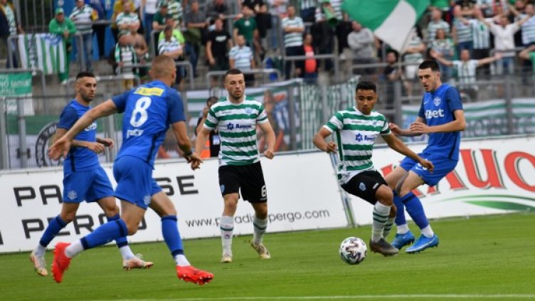 Черна кърджалийска котка мина пътя на "Черно море". Европа – мираж!