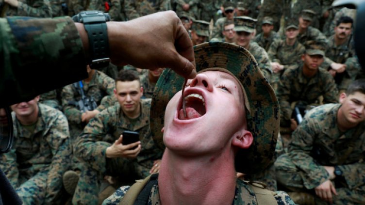 Змии, скорпиони и крокодили …в менюто на пехотинците