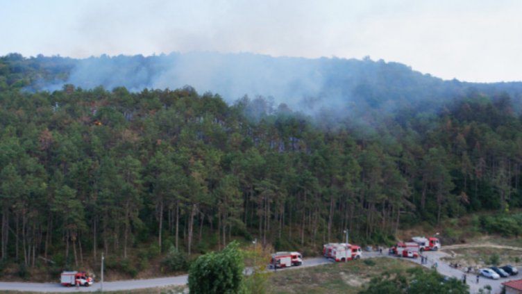 От пиратки тръгнал пожарът в гората над "Аспарухово" 