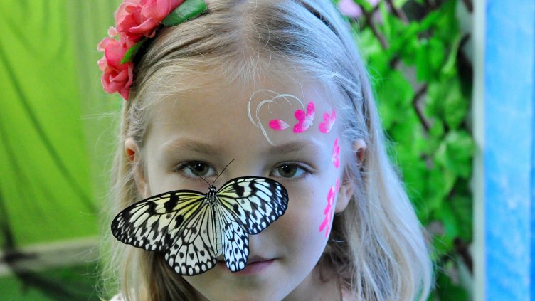 Снимки: Пламен Гутинов