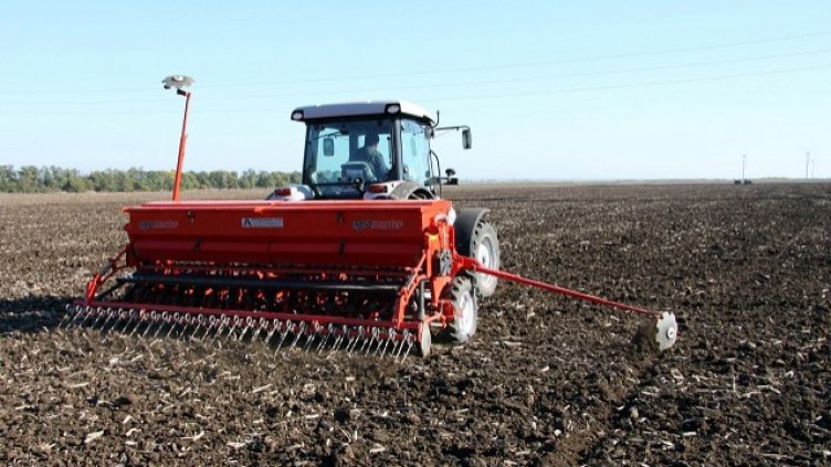 Засяха над 559 000 дек пшеница във Варненско