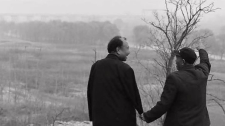 Незрящ мъж и неговият приятел без ръце посадиха 10 хил. дървета (Видео)