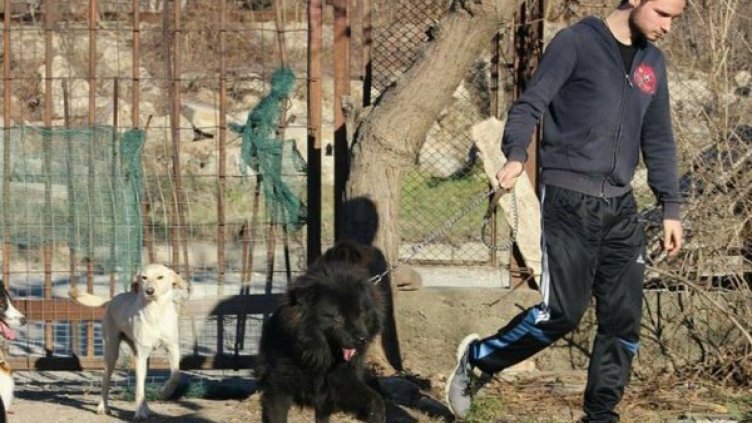 Последните думи на Тодор: "Мамо, спокойно"