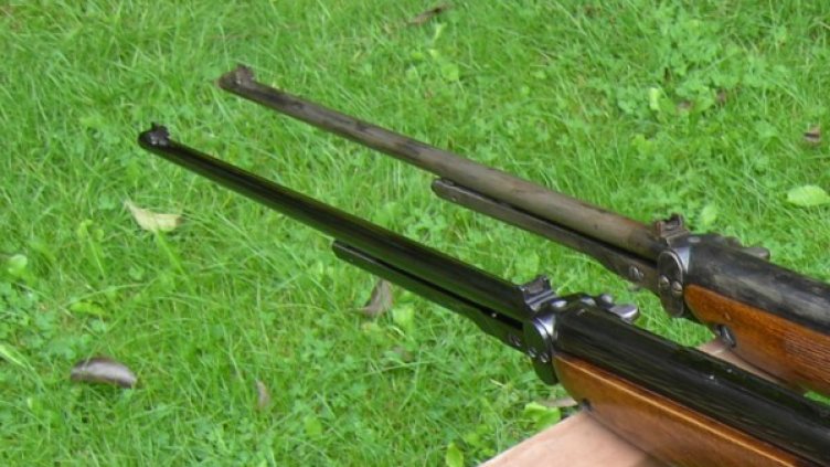 Застреляха куче, оставено на тераса