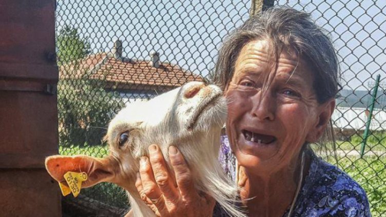 Евтаназията в Ямболско временно е спряна