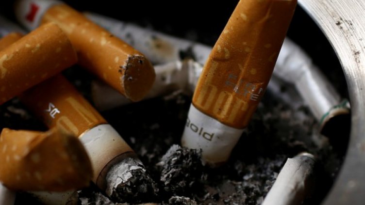 Пожар край къмпинг "Градина" заради незагасена цигара