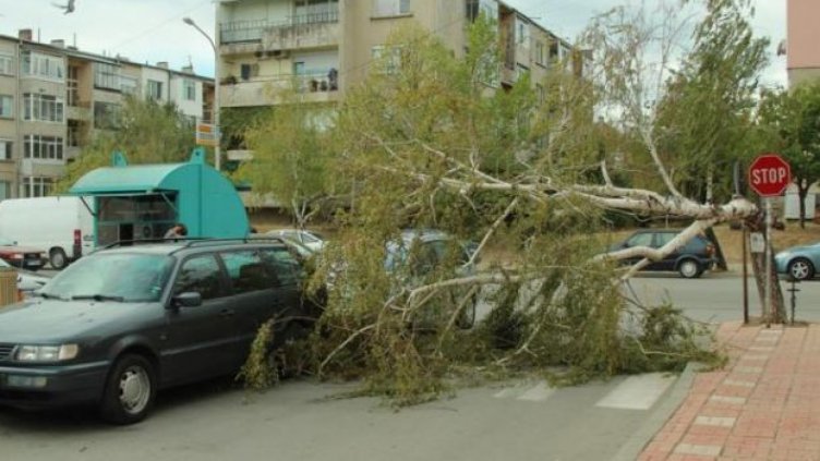 Вятърът потроши 2 коли във Варна