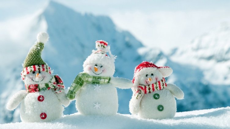 Зимата идва след Нова година (ВИДЕО)