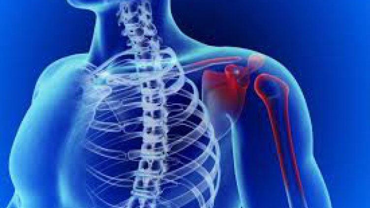 Наши и италиански хирурзи поставят нов модел раменна става