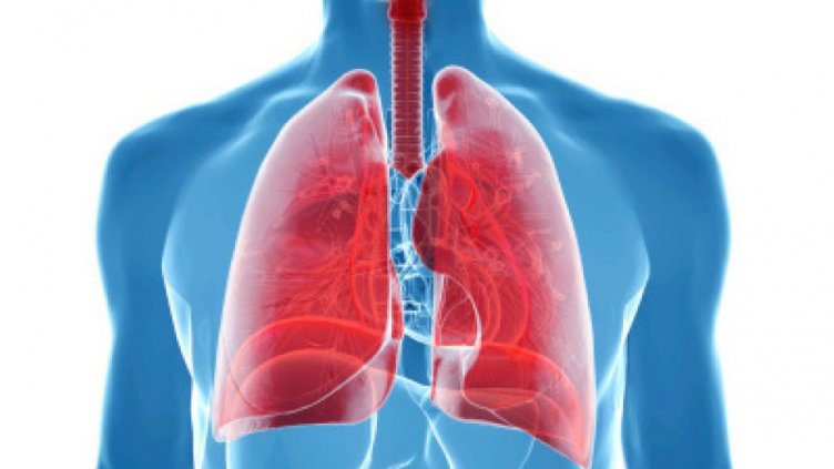 21 ноември е Международен ден на болните от муковисцидоза