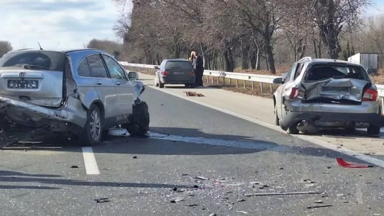 Куче предизвика верижна катастрофа на АМ "Хемус" край Слънчево