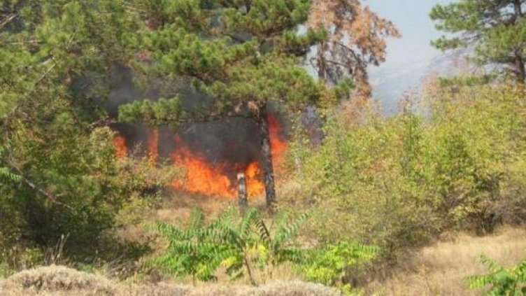 Екстремален индекс за пожароопасност е в сила на места в 18 области на страната
