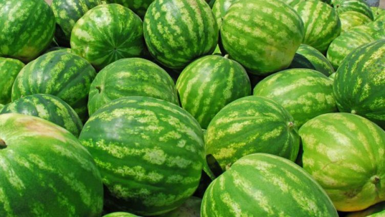 5 ст. за кило диня през лятото, ирански са!