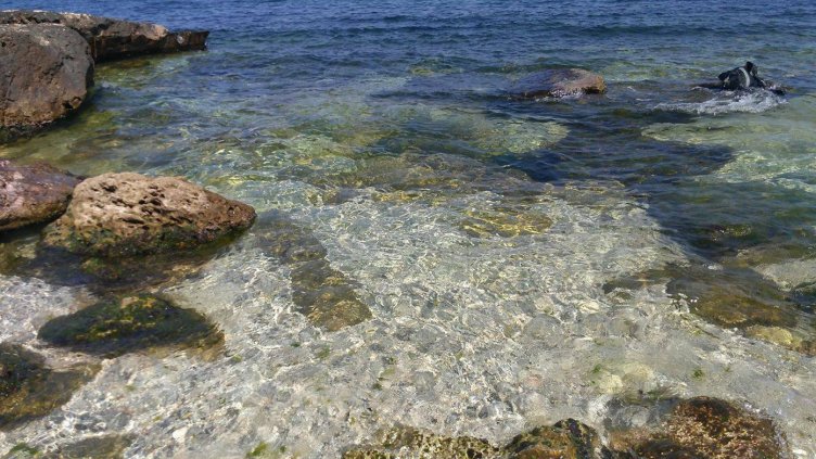 Снимка &quot;Черно море&quot;