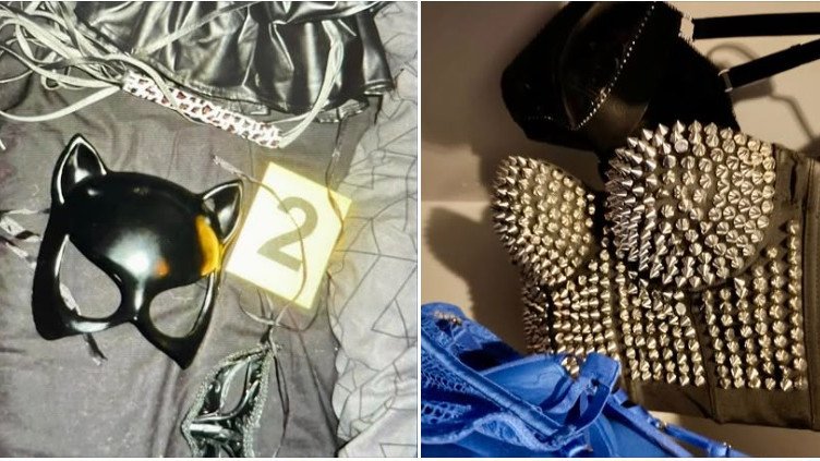 Арестуваха двойка, заснемала как измъчват и убиват животни, продавали видеата онлайн (СНИМКИ)