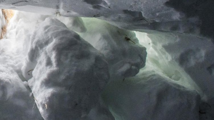 Затрупаният от лавина – намерен, реанимират го