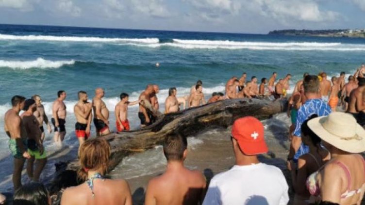 След вратата, морето изхвърли огромен дънер на претъпкан плаж (СНИМКИ)