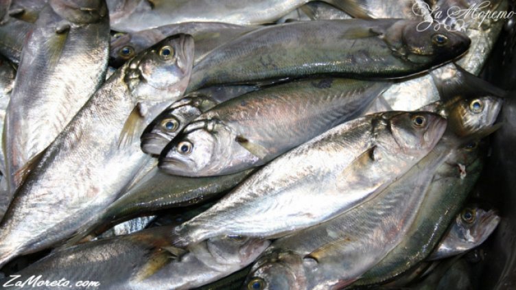 Преди Никулден: Над тон риба конфискува полицията