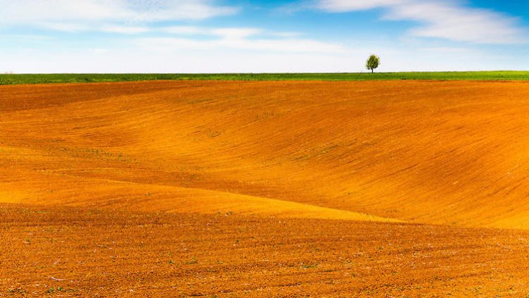 Област Варна е на осмо място в страната по цена на сделки с ниви