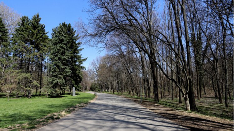 Отварят парковете в София за родители с малки деца от понеделник