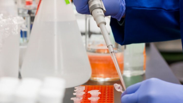 Над 150 теста за COVID-19 на ден обработват в лабораторията във Варна