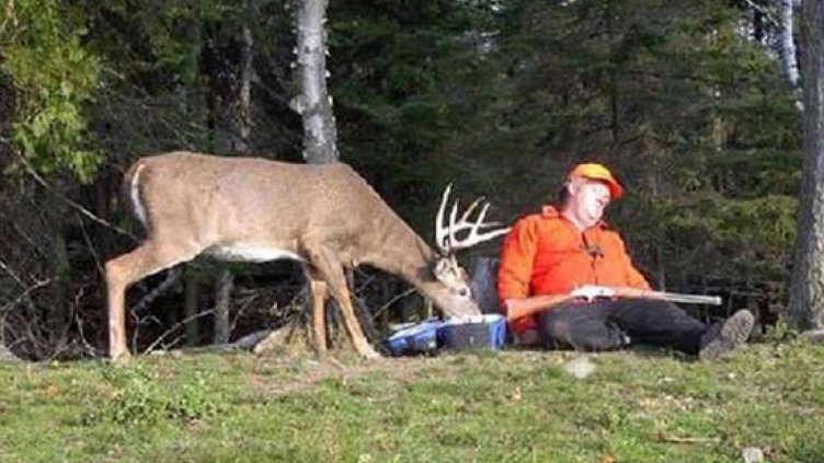 Изпитите за ловци във Варна по-секретни от матурите