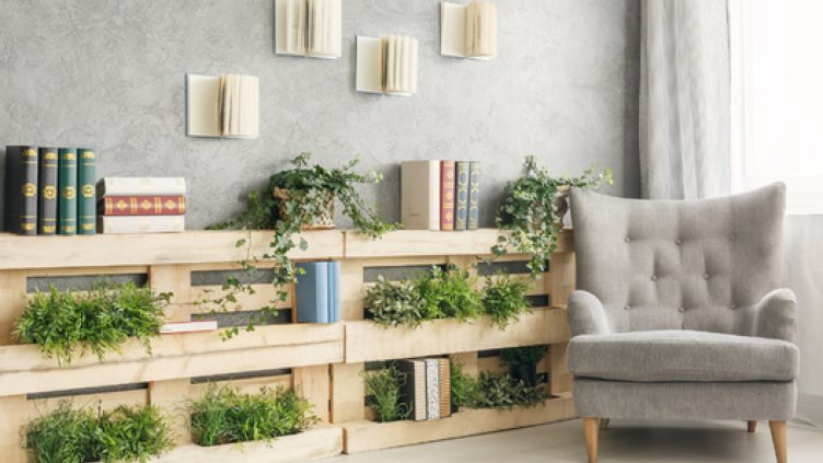 Цветя в дома – къде и как да ги поставите?	