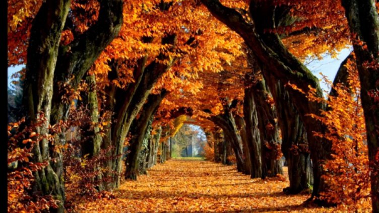 Какво време ни очаква през септември