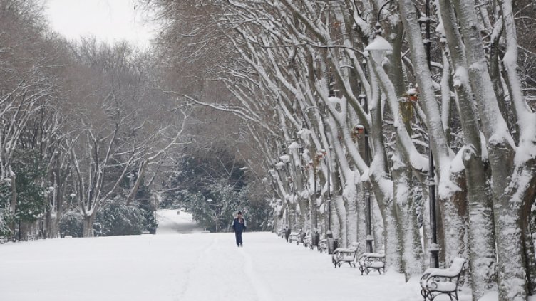 Снимка Пламен Гутинов