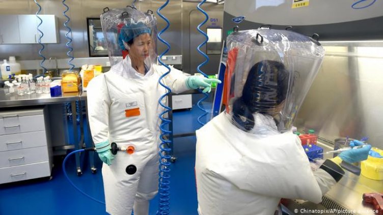 Нова теория: Прилепи заразяват с COVID, не е нужно да ги ядете