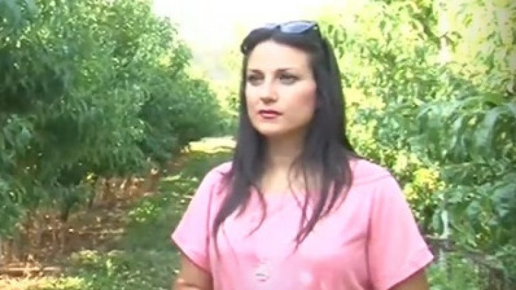 Прасковата поскъпва от 80 ст. до над 5 лв. за кило по пътя от градината до магазина