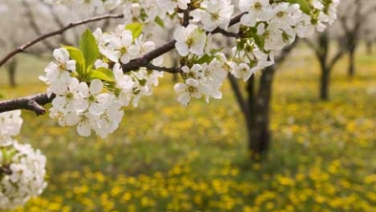 Слънчево, но сравнително хладно време