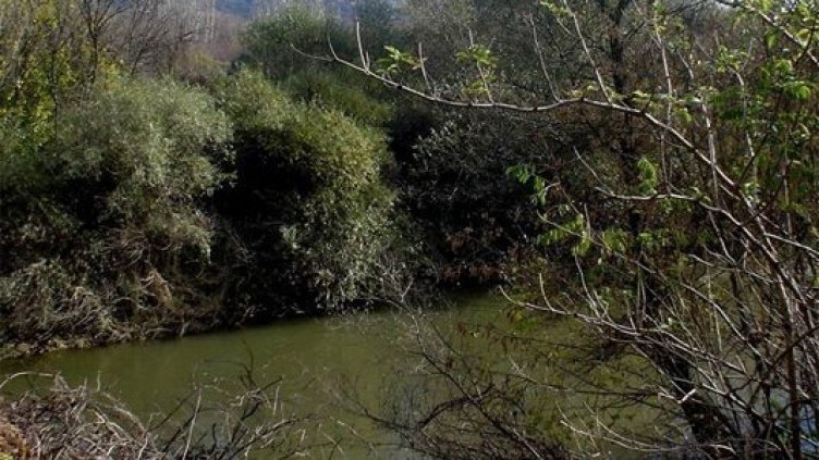 Двама тийнейджъри се удавиха в река Осъм