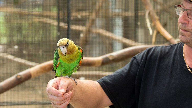 Виц на деня - 27 юли