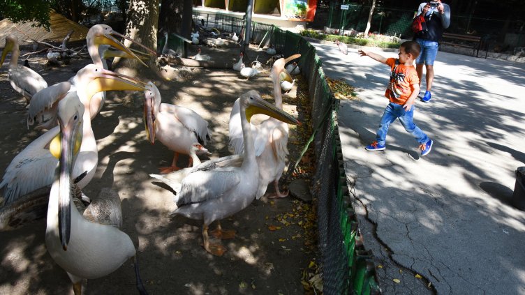 снимки: Пламен Гутинов