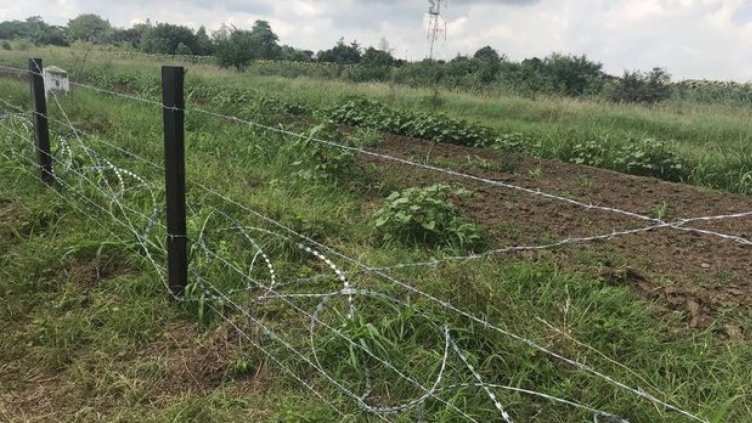 Ограда покрай сухоземната граница между България и Румъния, поставена с цел спиране на африканската чума по свинете. Снимка МЗХГ