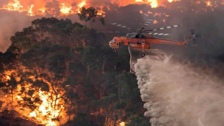 Димът от австралийските пожари ще обиколи поне веднъж Земята