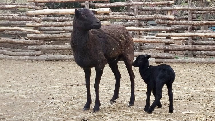 снимки: Ели Маринова