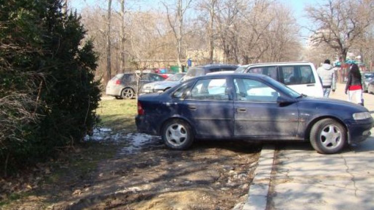 Кметът: Съдът върна Морската градина на колите!