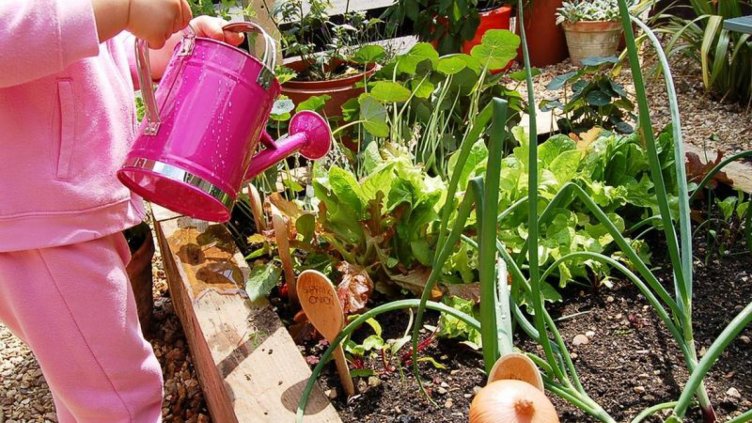 Вкарват билкова и зеленчукова градина в забавачките у нас