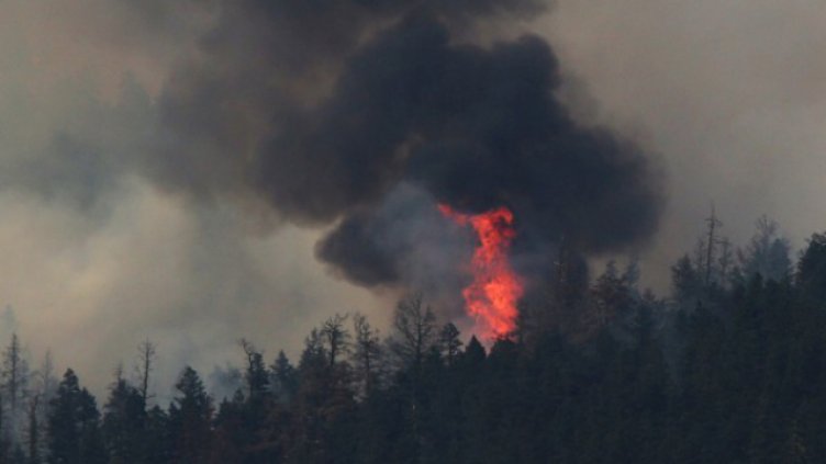 Снимката е илюстративна